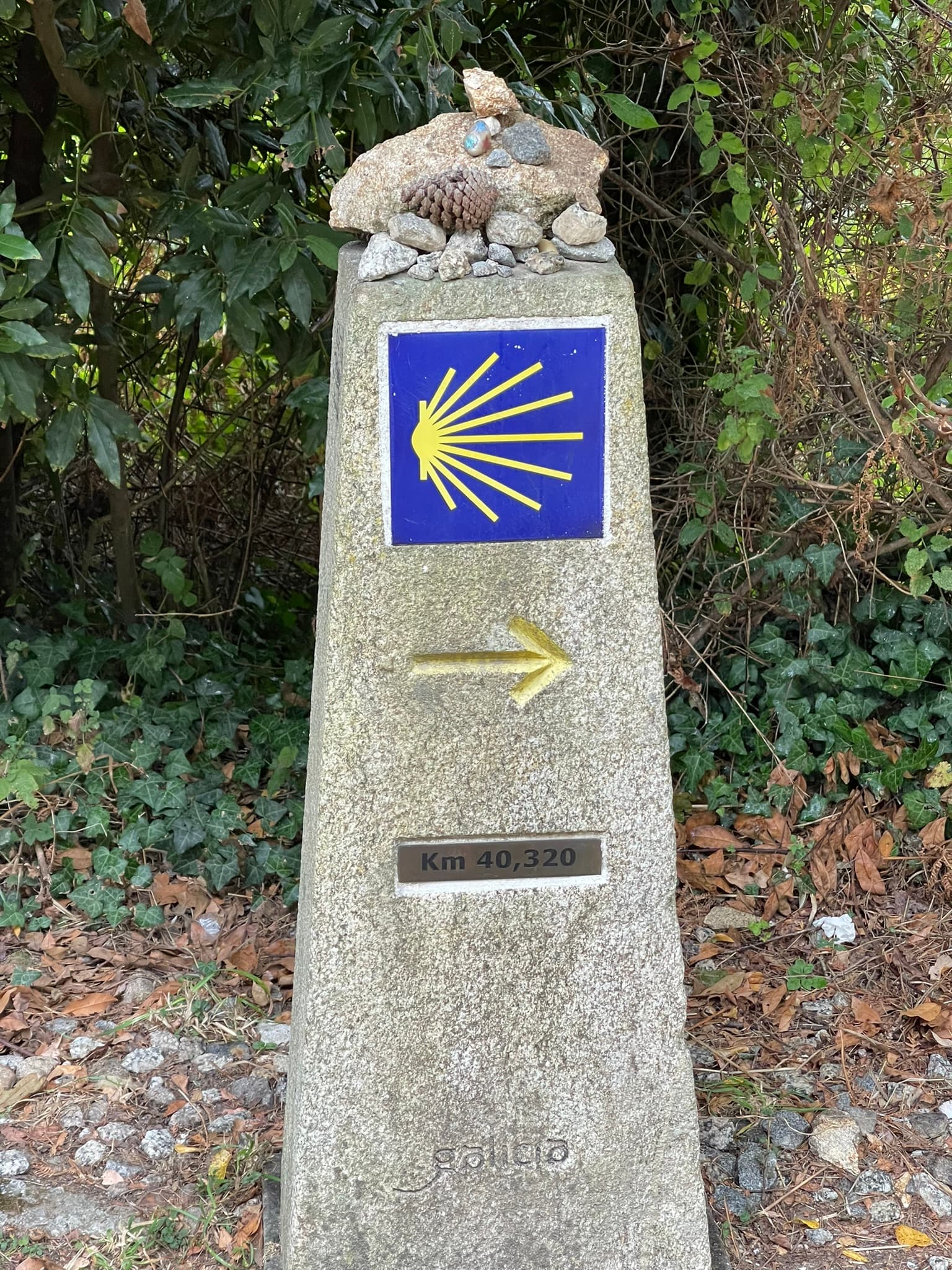 Porto a Santiago — o que esperar de cada etapa