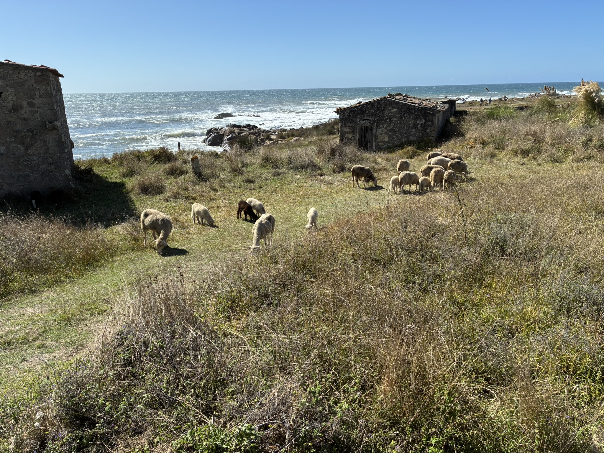Caminho de Santiago de Compostela: Caminho Português da Costa — foto 59