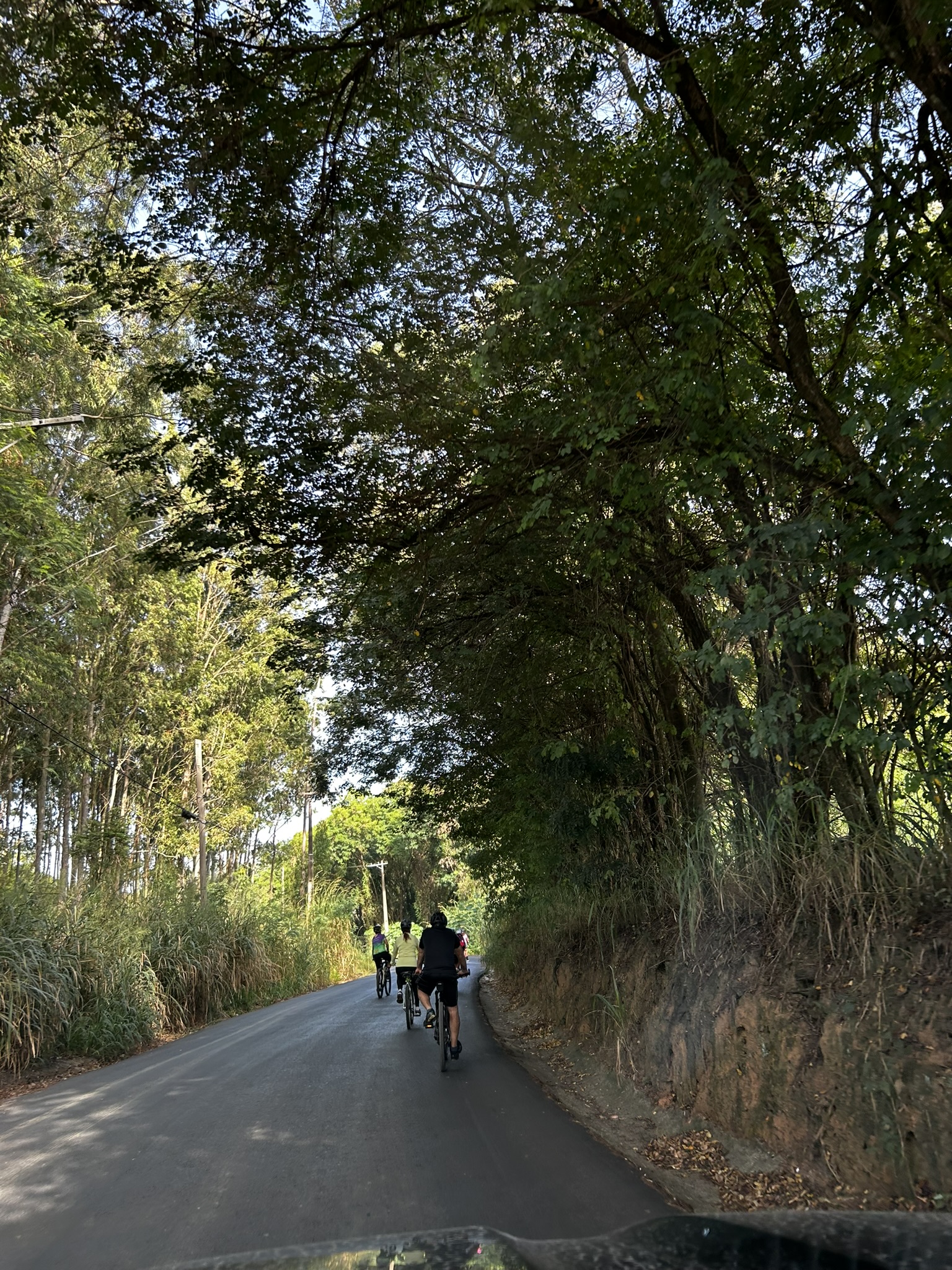 Holambra — foto 12