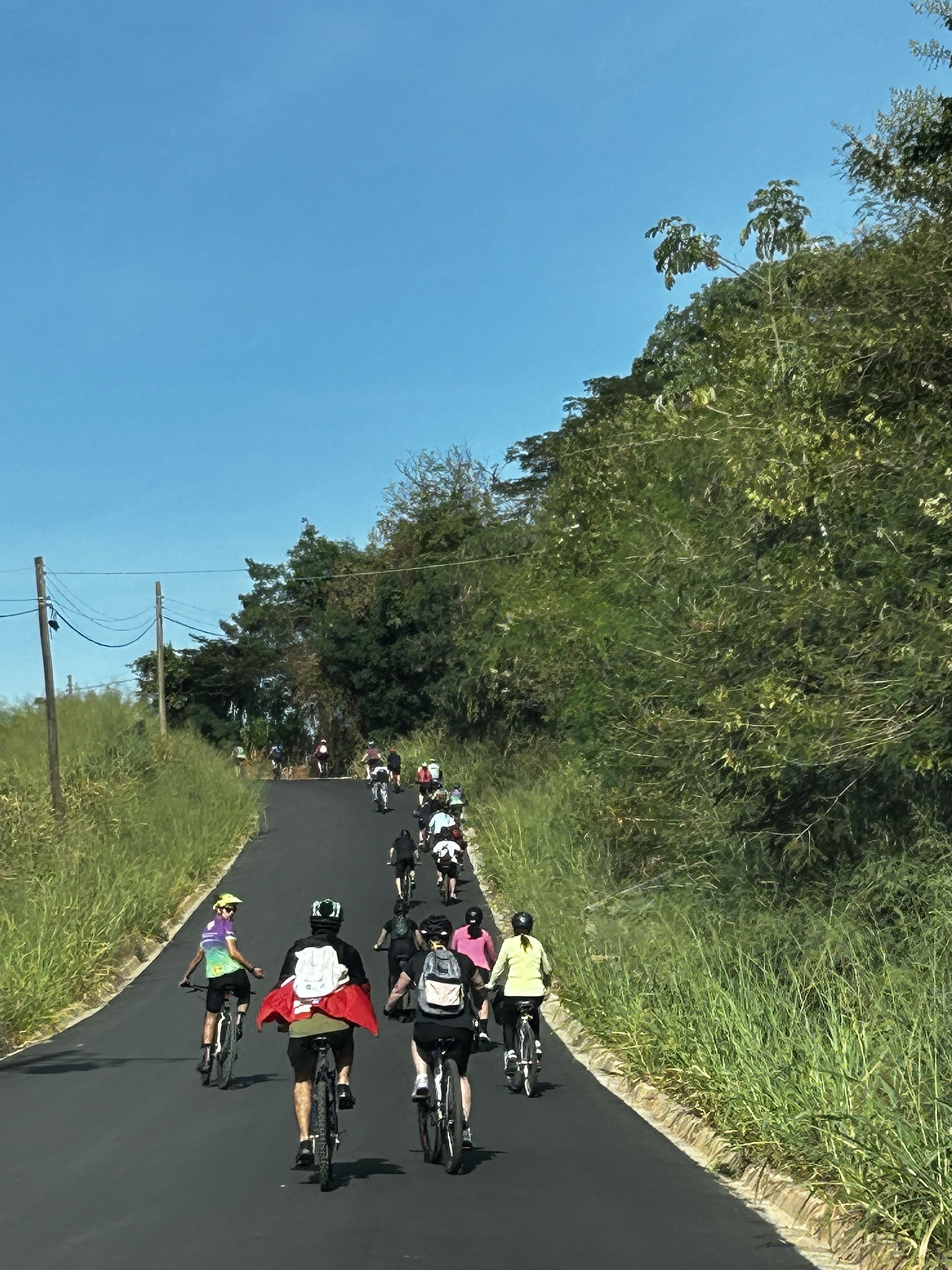 Holambra — foto 13