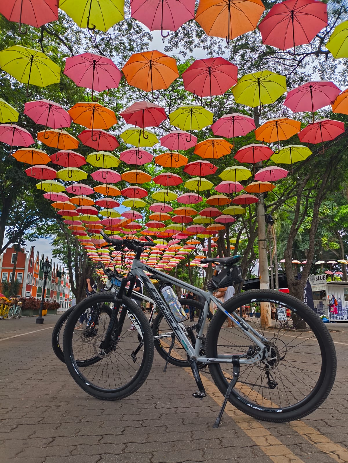 Holambra — foto 26