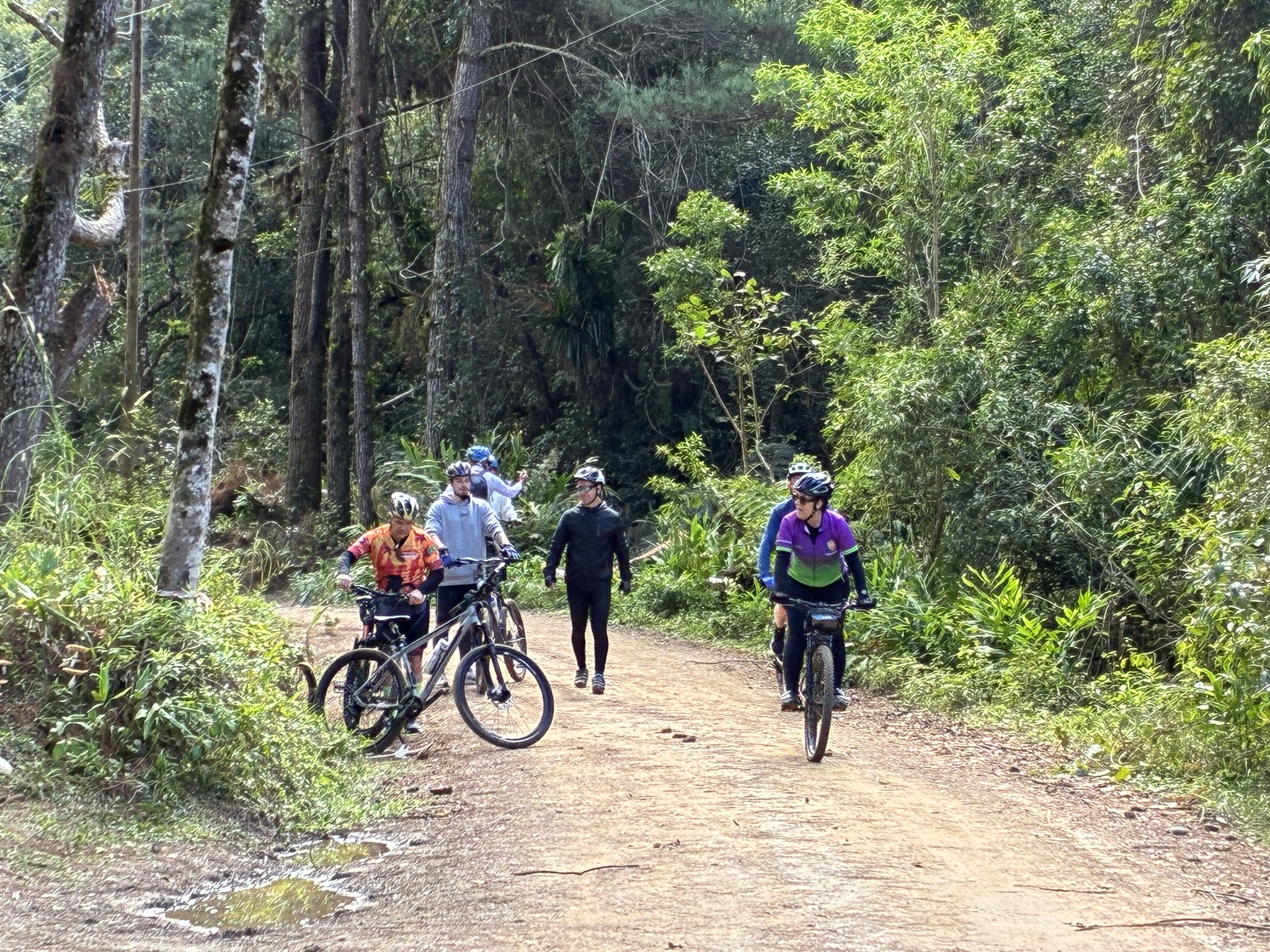 Paranapiacaba — Rota da Madeira — foto 7