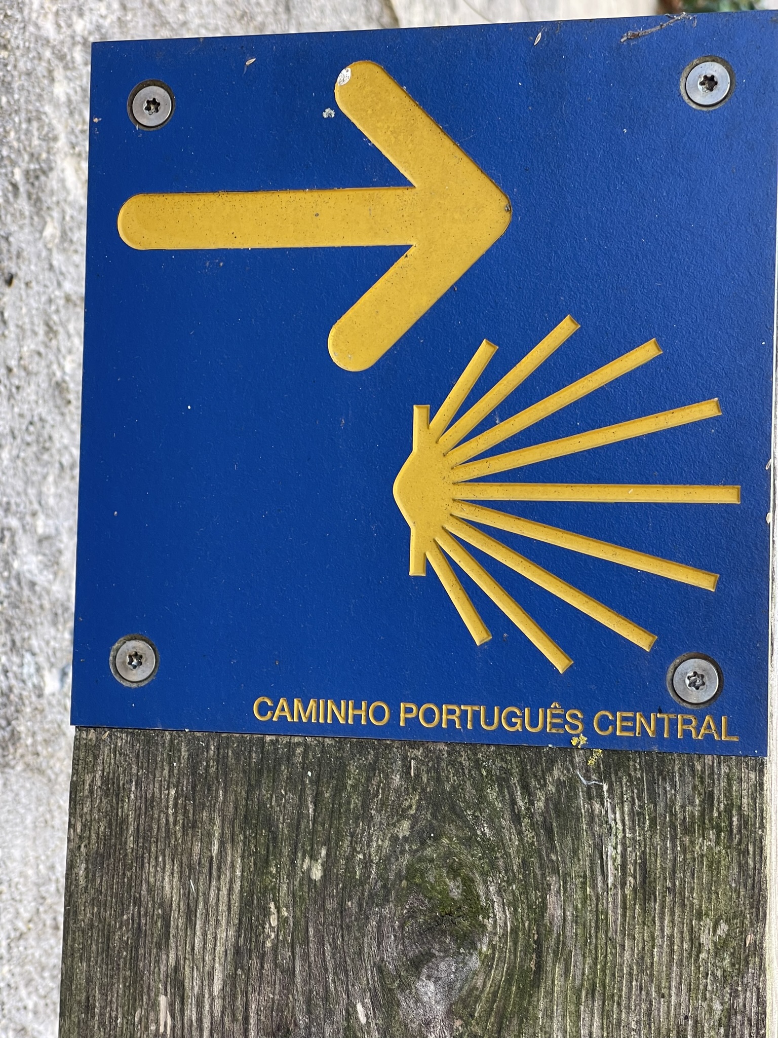 Caminho de Santiago de Compostela — foto 4