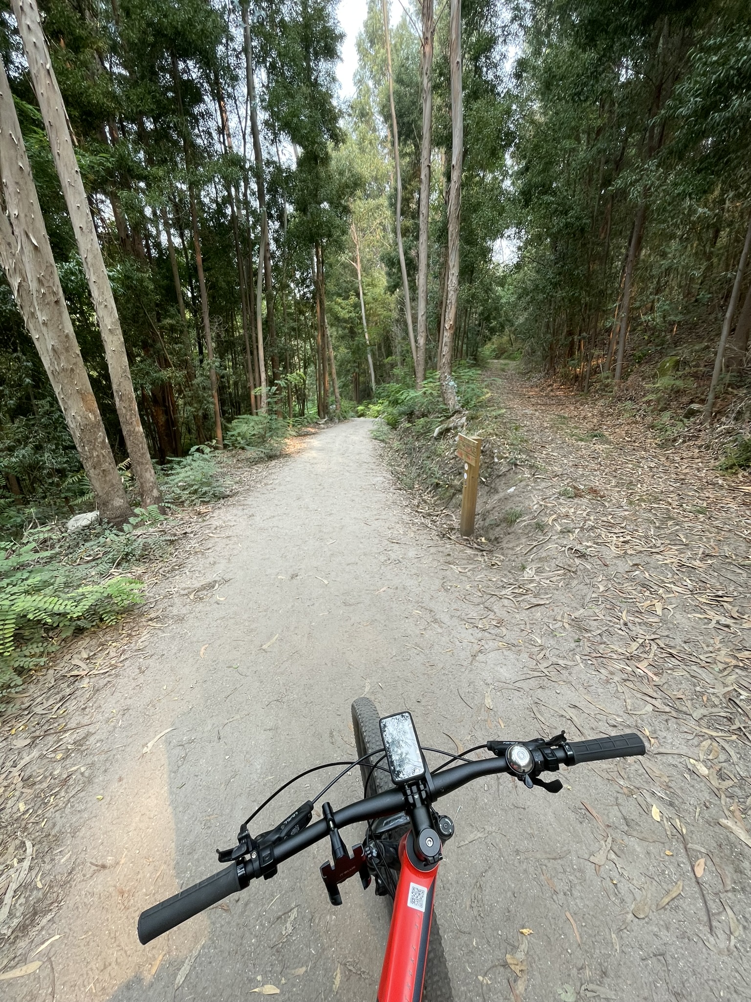 Caminho de Santiago de Compostela — foto 17