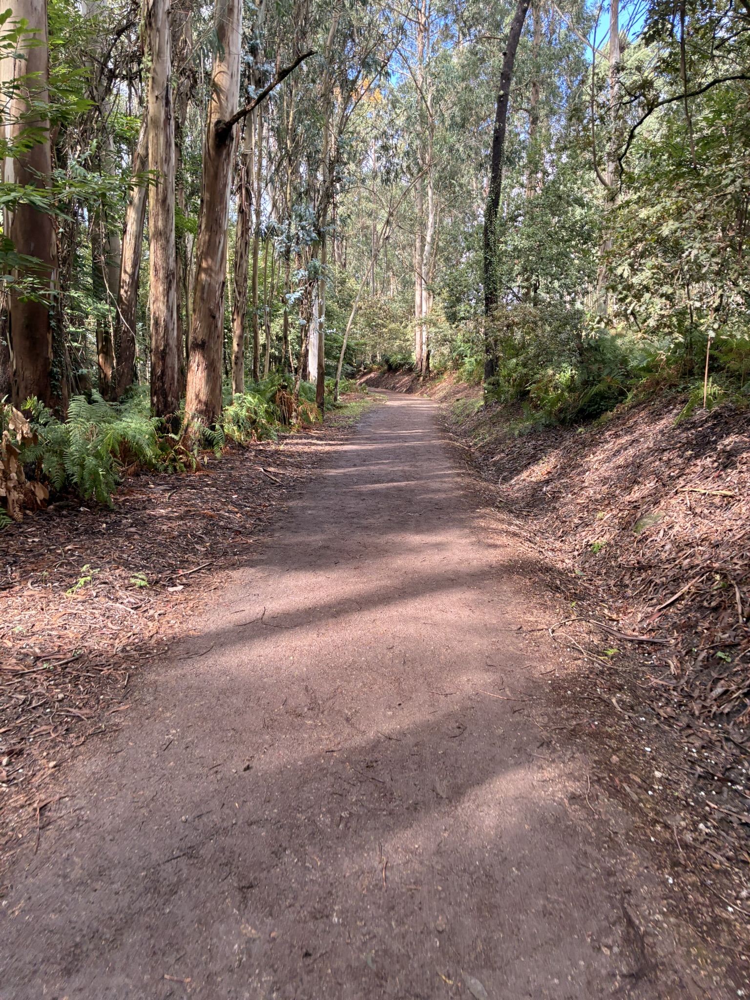 Caminho de Santiago de Compostela — foto 70