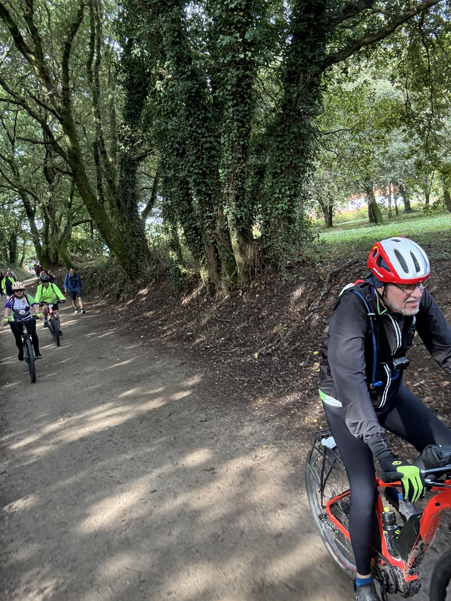 Caminho de Santiago de Compostela — foto 81